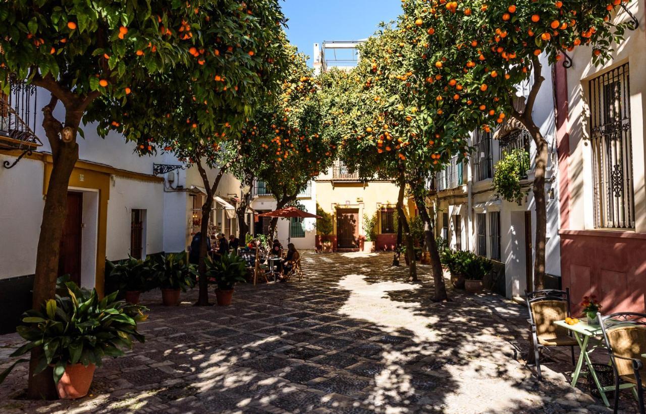 Wish Suite La Mata De Sevilla Εξωτερικό φωτογραφία